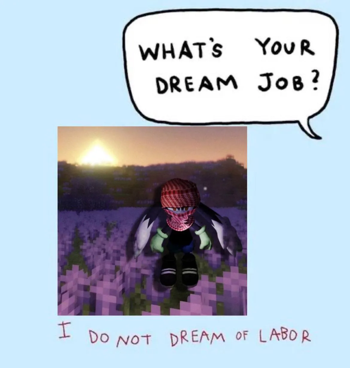 Meme 2