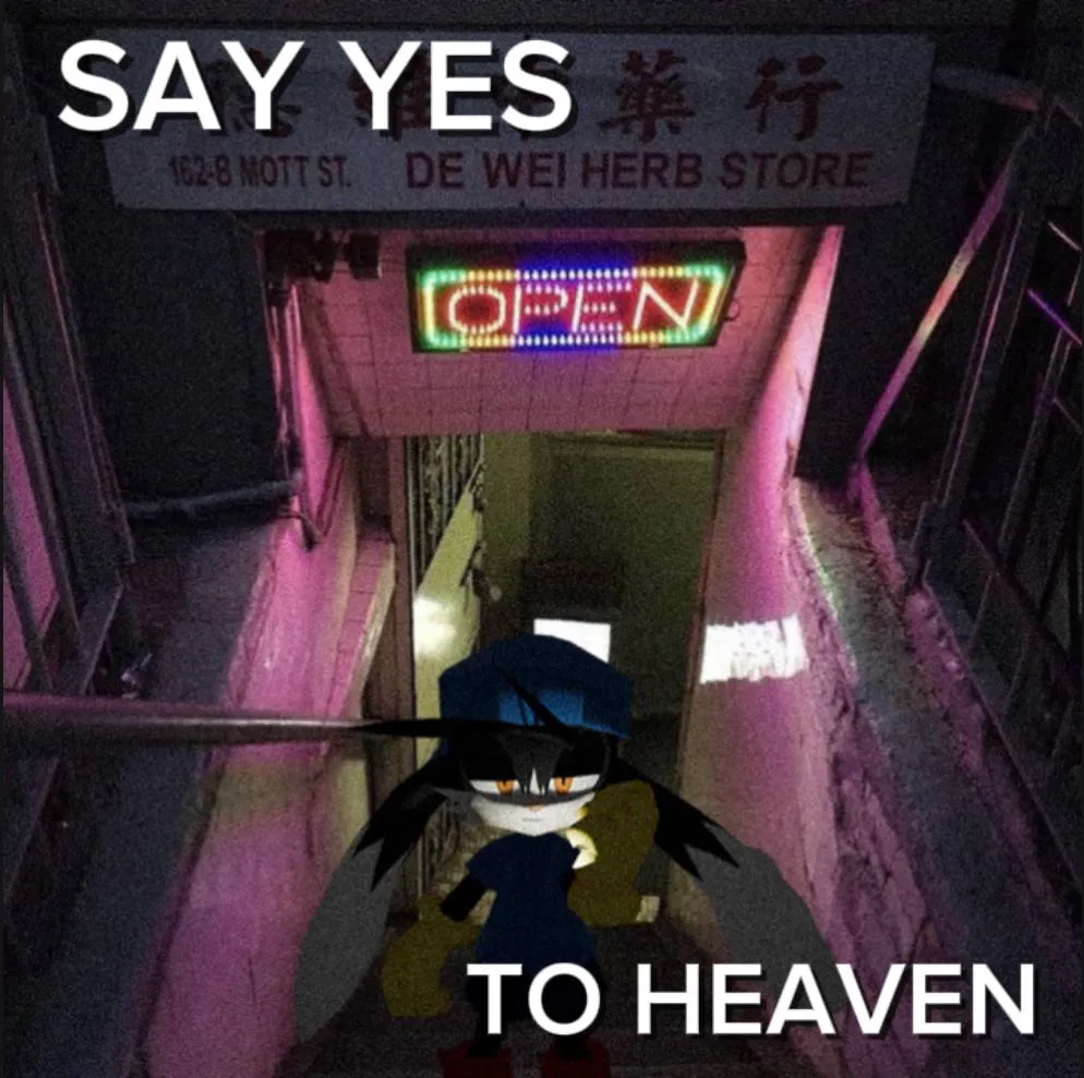 Meme 5